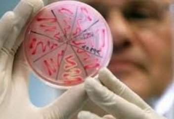 Как казахстанцам получить вакцинацию от менингококковой инфекции