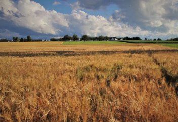 В селе в СКО шесть лет живет только один человек (видео)