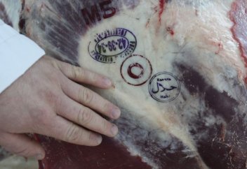 Норвегия выдвигает альтернативный метод забоя халял