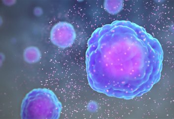 Иммунитет қартаюды қалай тездетеді