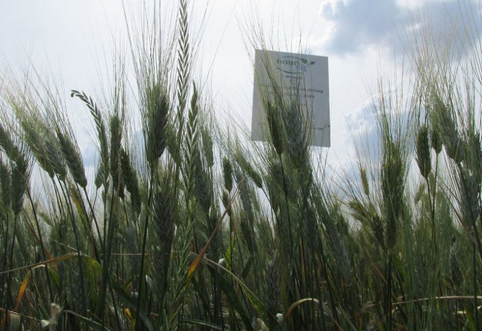 Как европейские ученые стимулируют «чистое» земледелие в Казахстане