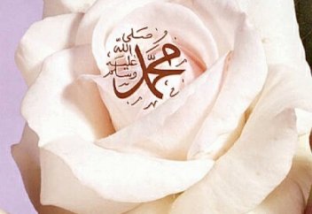 Жәбрейіл періштенің (а.с.) Пайғамбарымыз (с.а.с.) қайтыс болғаннан кейінгі жерге түсу себептері...