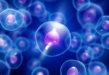 Жасушадан улы заттарға қарсы губка (биологиялық ұғымда) табылды