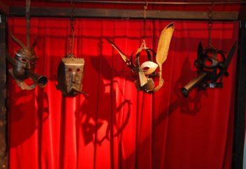 Жануарларды азаптағандарға қылмыстық жауапкершілік енгізілді