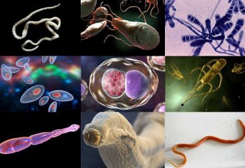 Ғалымдар паразиттерді құтқаруға кірісіп кетті