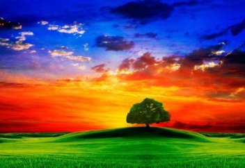 Жал­пы жа­ра­ты­лыс­қа бай­ла­ныс­ты тағ­дыр