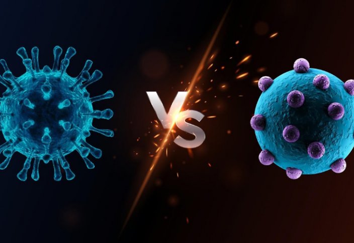 Замаскированная война. Почему пандемия коронавируса разразилась именно в 2020