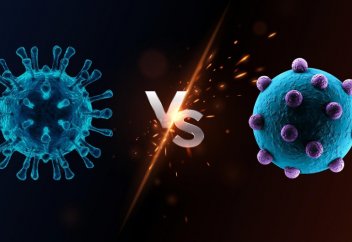 Замаскированная война. Почему пандемия коронавируса разразилась именно в 2020