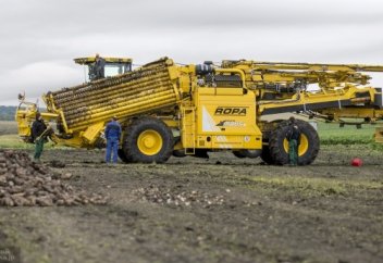 ДАЛА МИФОЛОГИЯСЫ - 1