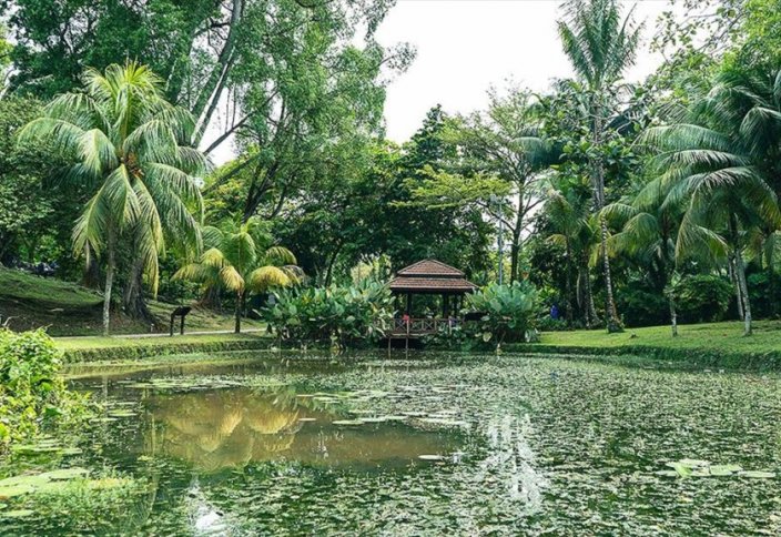 Ботанические сады Пердана в самом центре малайзийской столицы