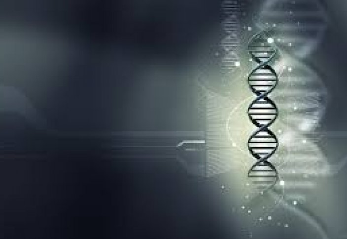 Ғалымдар адам өмірін ұзартудың жолын тапты