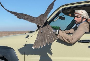 Сказочный миллиардер