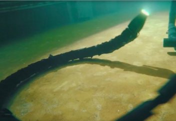 Суда жүзетін құлтемір жылан жасалды (видео)