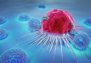 Мамандар он жылда обырдың үш түрі жоғалатынын алға тартып отыр