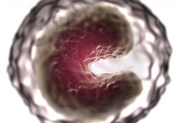 Кәріліктің тағы бір маркері белгілі болды