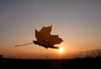 Адамның жалғыздықтан жапа шегетін жас кезеңдері анықталды