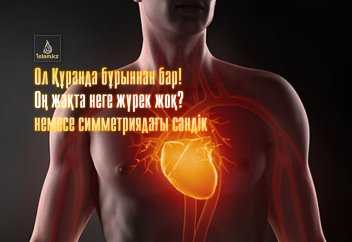 Оң жақта неге жүрек жоқ? немесе симметриядағы сәндік