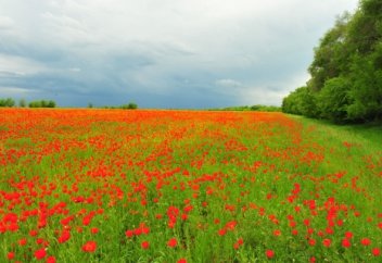 Табиғат заңдары мен себептердің  өзі де басқа себептерге мұқтаж