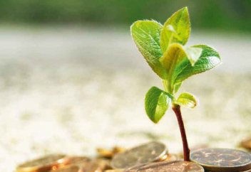 Пі­тір са­да­қа - дененің зекеті