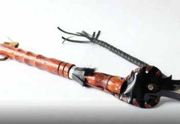 Қамшының қандай түрлері бар?