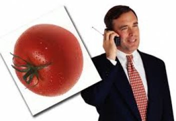 Ученые узнали о пользе помидоров для мужского здоровья