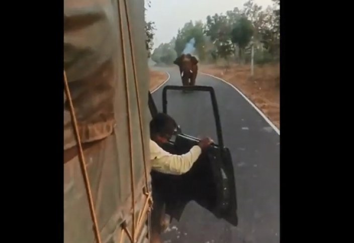 Разное: Разъяренный слон атаковал грузовик в индийском заповеднике. Видео