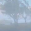 Дүлей дауылдың ығында кетпейтін дрон құрастырылды (видео)