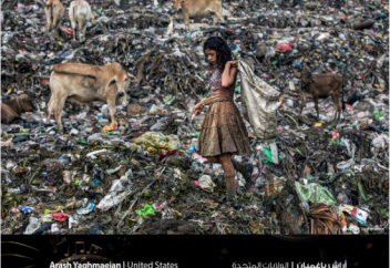 Принц ОАЭ наградил лучших фотографов мира