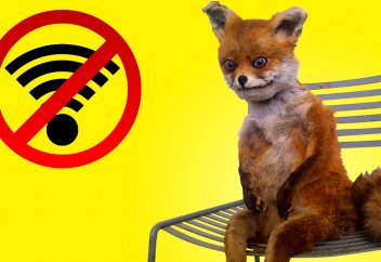 Тұтас бір мемлекет интернеттен бас тартпақ