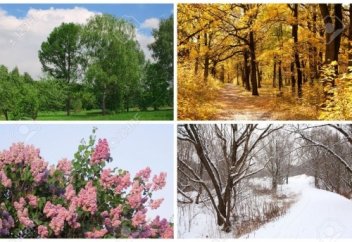 Оймақтай ой