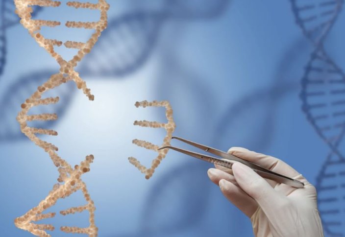 CRISPR көмегімен генді редакциялаудың қатері қандай