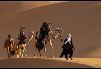 Выживание в пустыне, кочевники Сахары. Мавритания, Африка