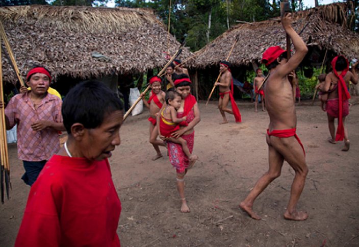 Al Jazeera: Индейцам Амазонии предрекли вымирание из-за заражения коронавирусом