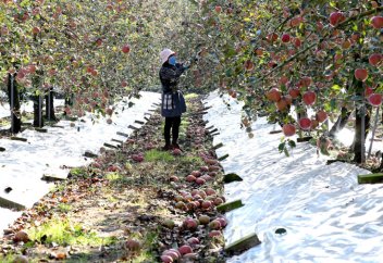 Южная Корея Высыхает Из-за Падения Влажности На 4% За 40 Лет
