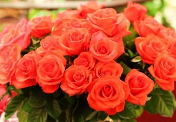 Ең бірінші болып жұмаққа кіретін әйел