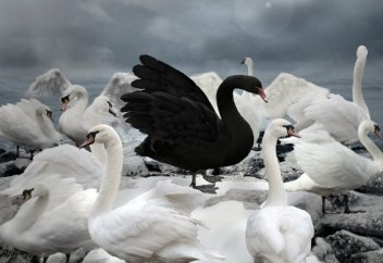 Ғалымдар сирек кездесетін әрі ықтималдылығы өте аз жаяғдаяттарды болжауды үйреніп келеді