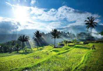 Туризмнен түсетін табысы көп он мұсылман елі