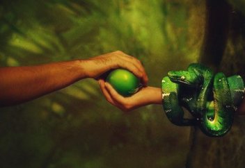 Правда ли, что Ева стала причиной изгнания Адама из Рая?