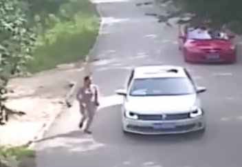 Жолбарыстың бір қызды талап өлтіргені таспаға тартылып қалды (видео)