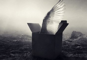 Cosmos Magazine (Австралия): десять «катастрофических» угроз нашему выживанию