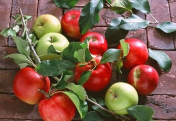 Жасыл алма мен қызыл алма айырмашылығы