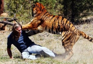 Адамға шабуыл жасаған жануарлар!