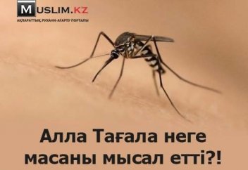 Алла Тағала неге масаны мысал етті?