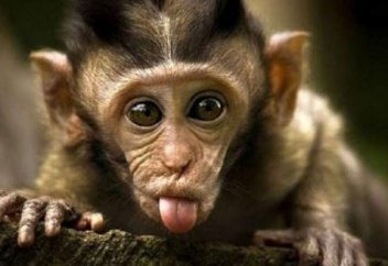 ТЕЛЕХИКАЯЛАР ТАСҚЫНЫ БАСҚАН ЖЫЛДАР ЕДІ...