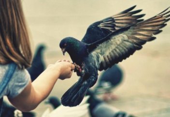 Бізге сұлу мінез керек!