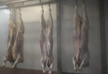 Қазақстан Иранға 500 тонна халал ет экспорттайды