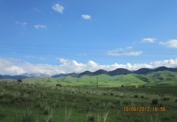 Барыңды барында бағала...