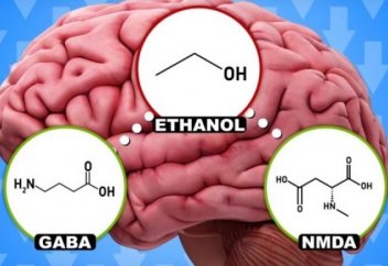 Алкогольдің адам миында қандай реакциялар туғызатыны видео арқылы көрсетілді (видео)