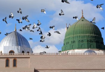 Әйелдерге Пайғамбар ﷺ моласын зиярат етуге тыйым салынды