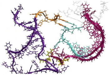 РНҚ-ның бұрын-соңды болмаған видеосы жарияланды (видео)